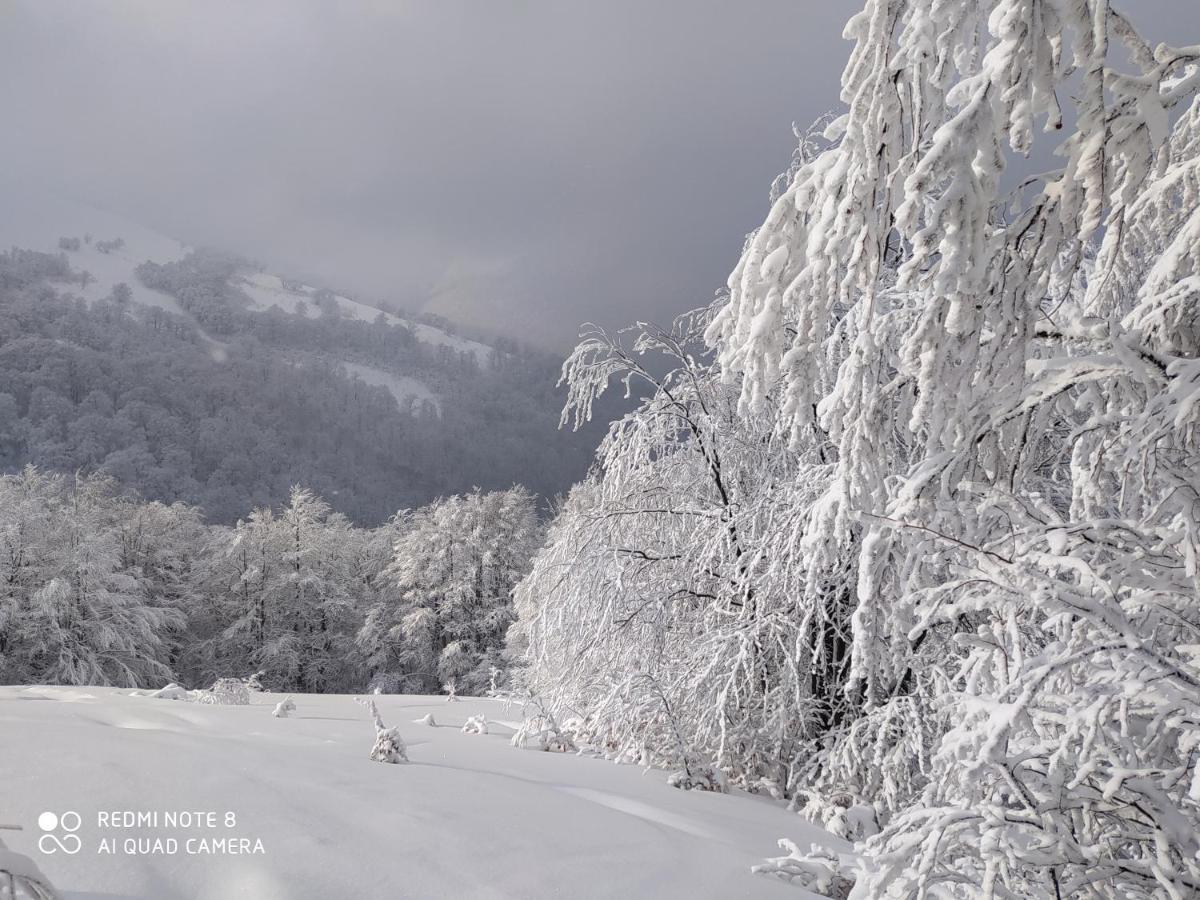 Sadyba Gostynniy Dvir Izky Exterior foto